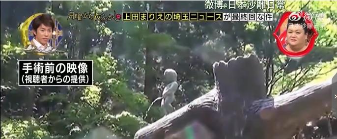 岛国的厕所设计到底有多魔鬼？这不是公开处刑吗哈哈哈哈哈