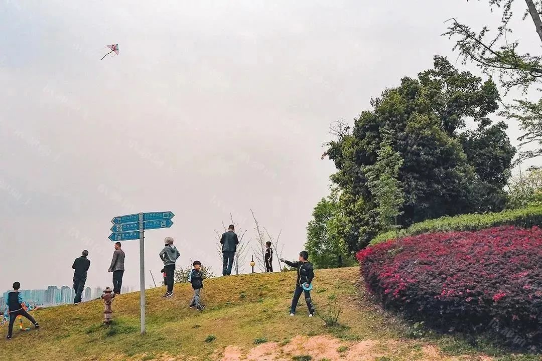 成都金牛天府艺术公园,成都金牛公园