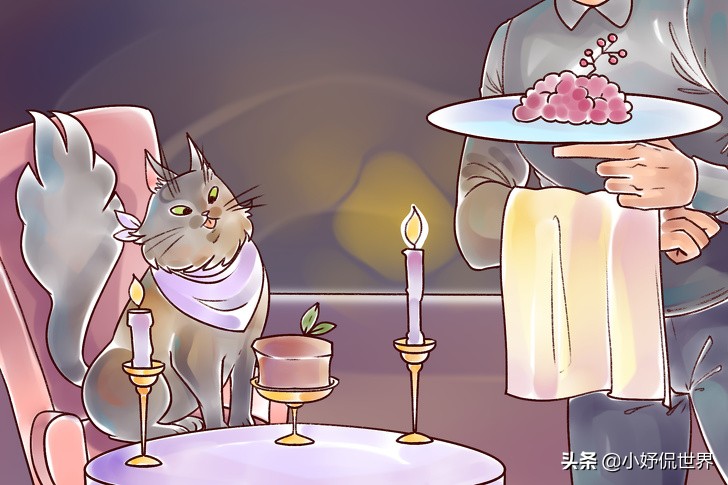 在生活中大多数科学家不愿意回答的9个难以解释的问题