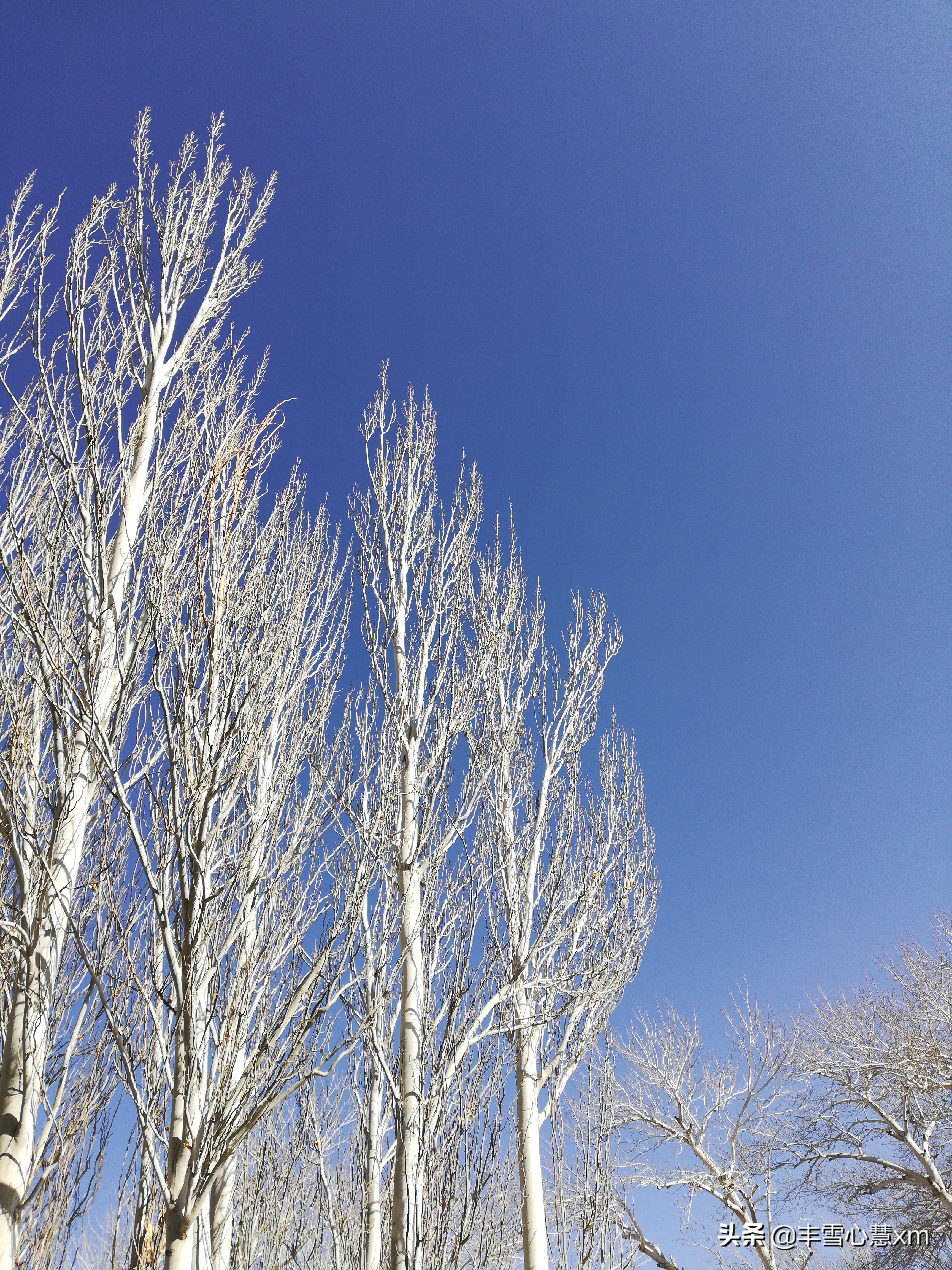 千年莫高片段,千年莫高窟讲解