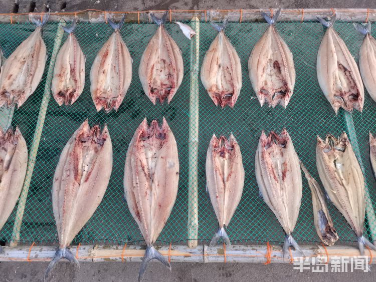 秋冬是进补的好时节,秋冬滋补好时节