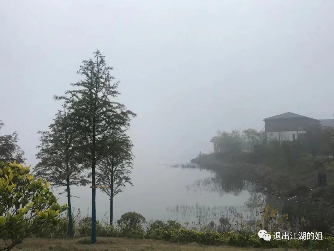 旅居，独自、两人还是群居？水深到足以把游泳健将淹死​