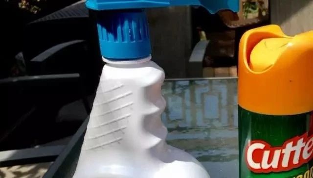 养的花老是被蜗牛吃掉怎么办,蜗牛总是吃花的叶子怎么防