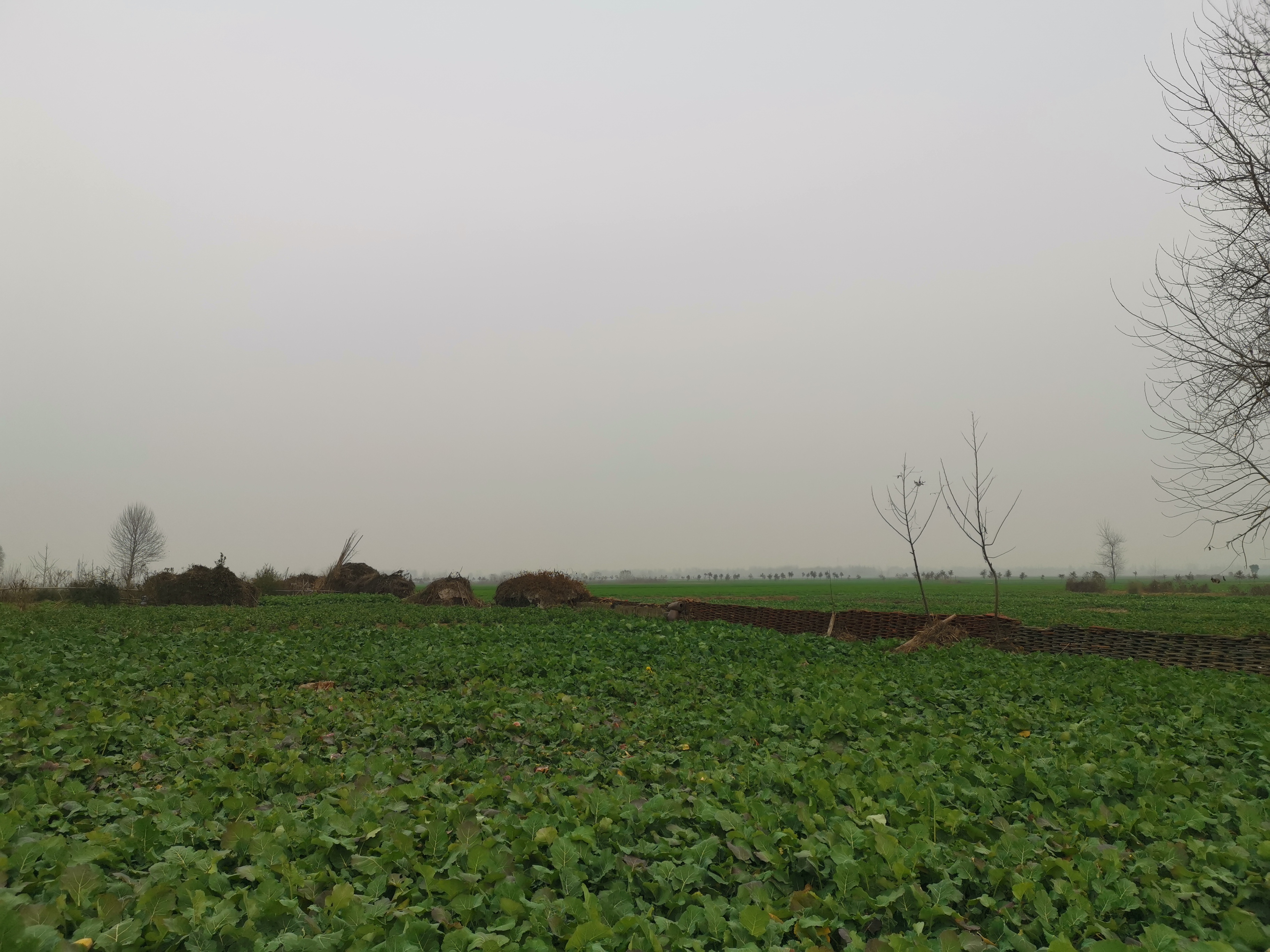 起底美团杀人外卖员:离婚后自杀未遂,儿子江中溺亡,家人称其情绪有问题