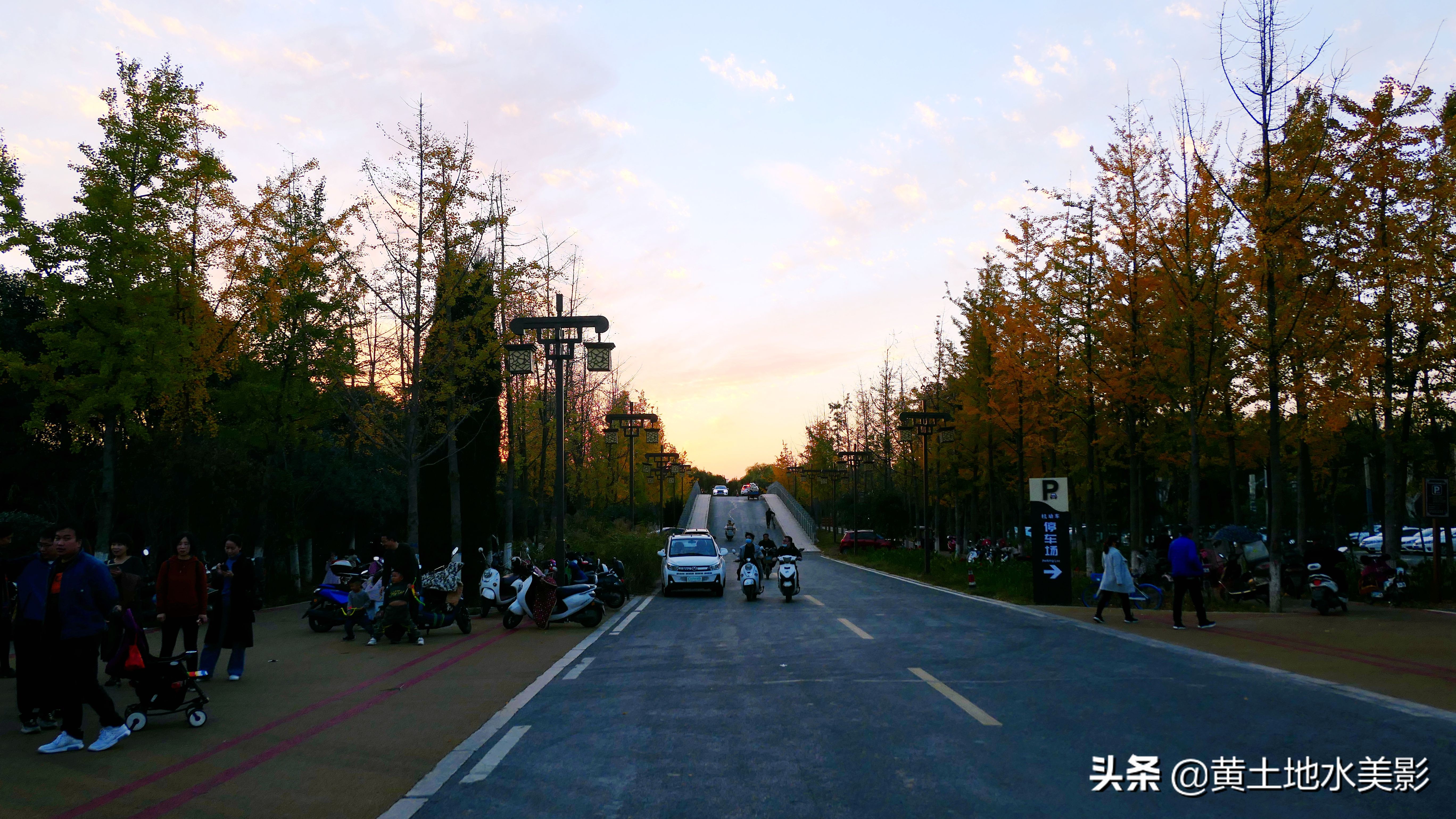 免费游玩东湖公园攻略,免费湿地公园游乐景点