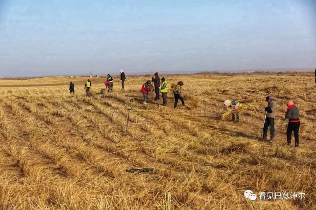 来认识一个不一样的我翻译,来认识不一样的滑雪