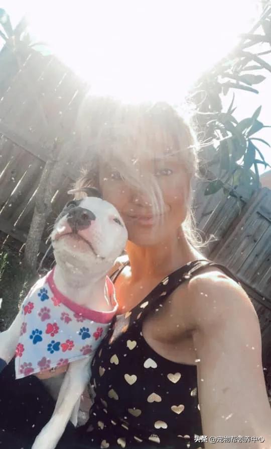 比特犬终于健康了视频,比特犬得了细菌性皮肤病