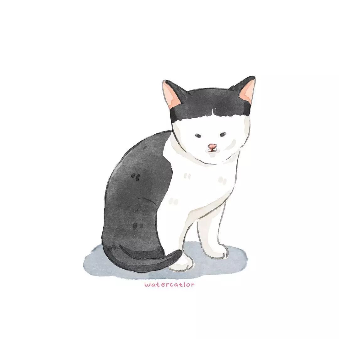 猫是液体的证据找到了吗,猫难道真的是液体吗