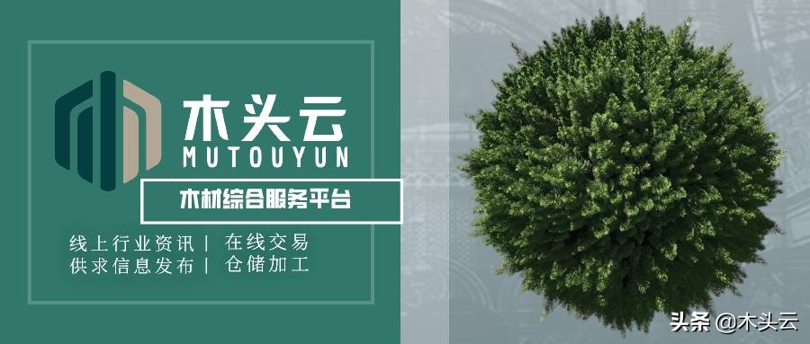 适合做乒乓球拍的木材,初学者推荐的乒乓球拍配置