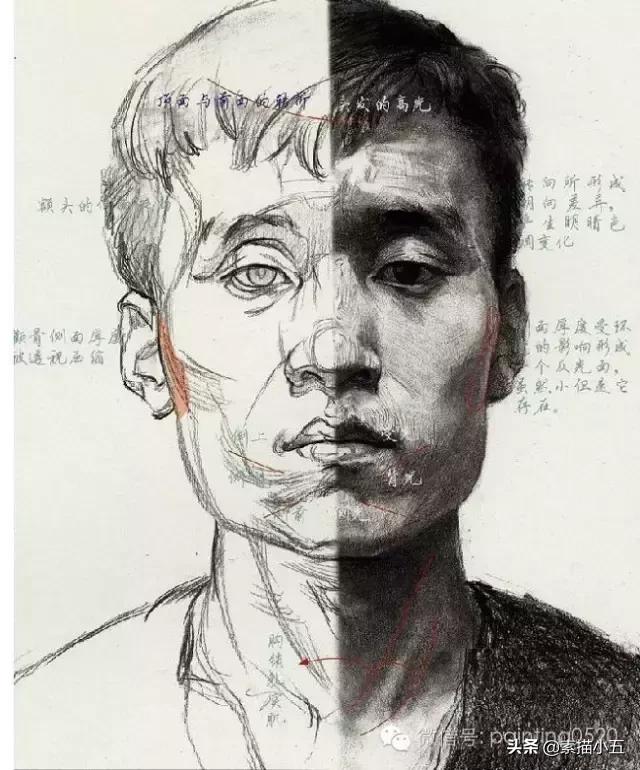 零基础央美素描线上学习,央美老师教新手素描入门
