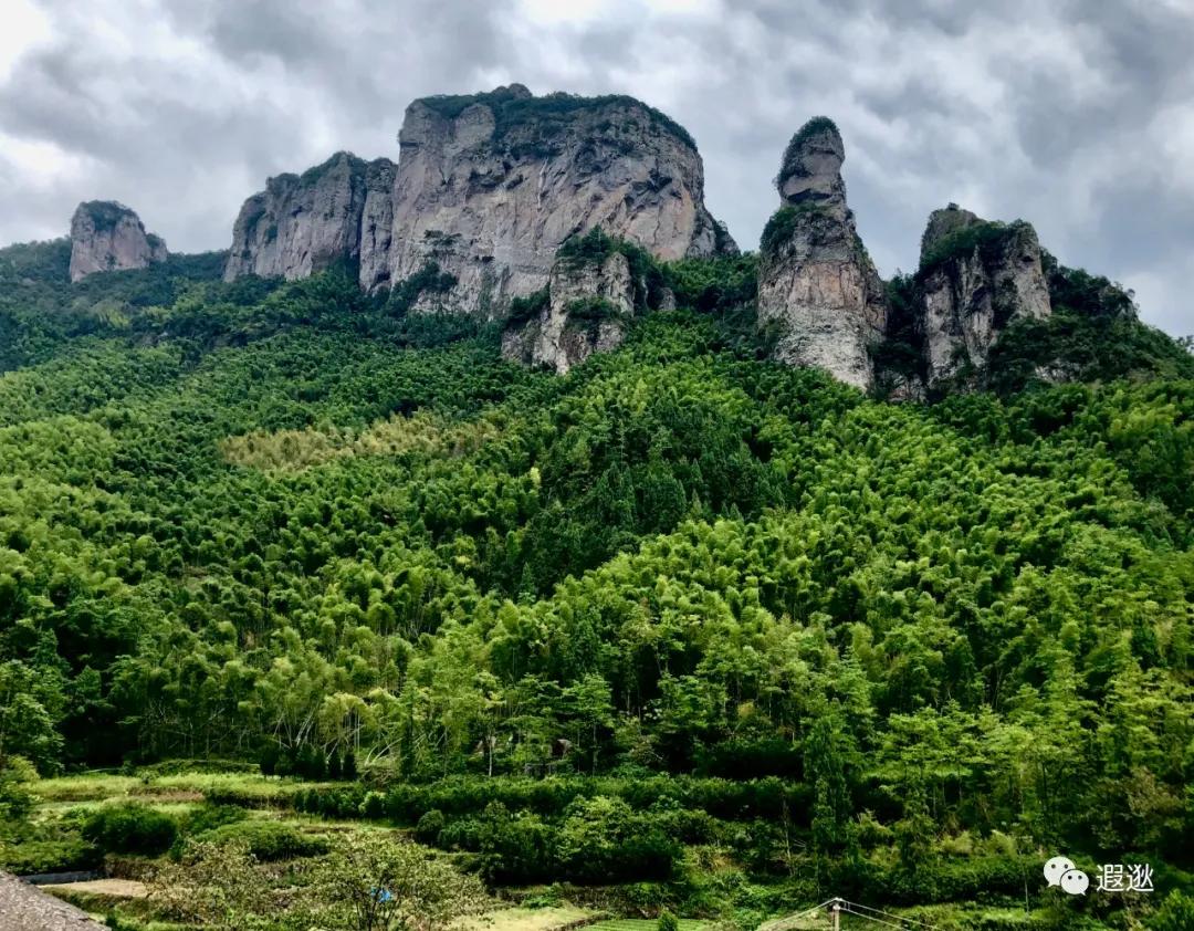 乐清仙溪有哪里好玩的 (乐清仙溪镇景点)