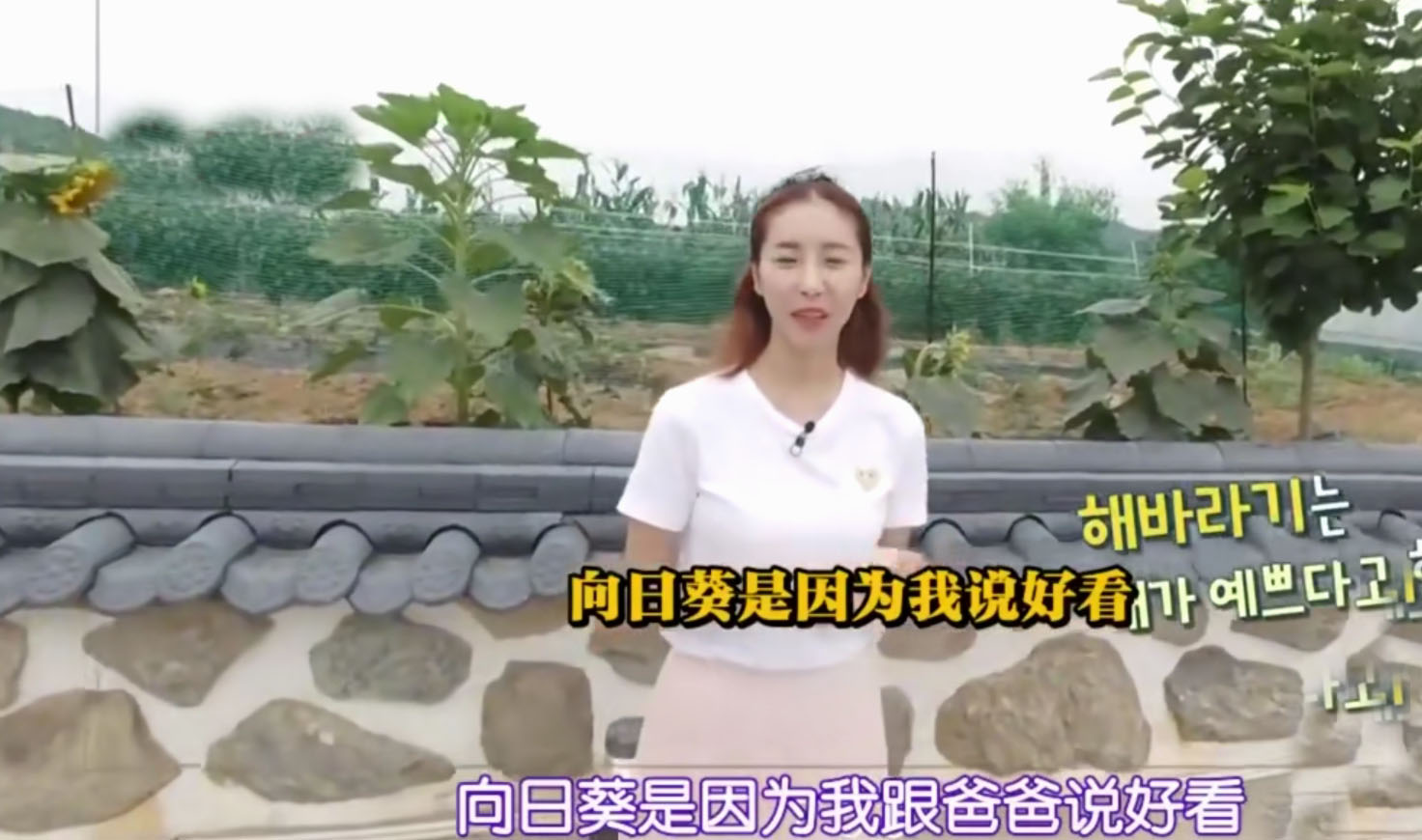 韩恩贞的房子,韩恩贞家庭住宅