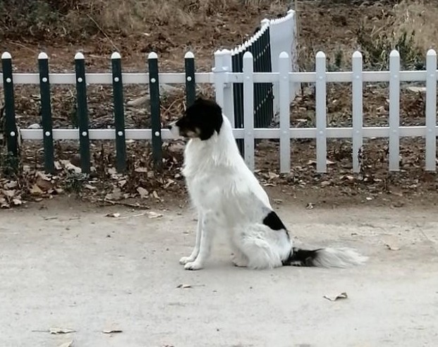 安徽定远藕塘豆腐乳,安徽滁州豆腐乳咋做