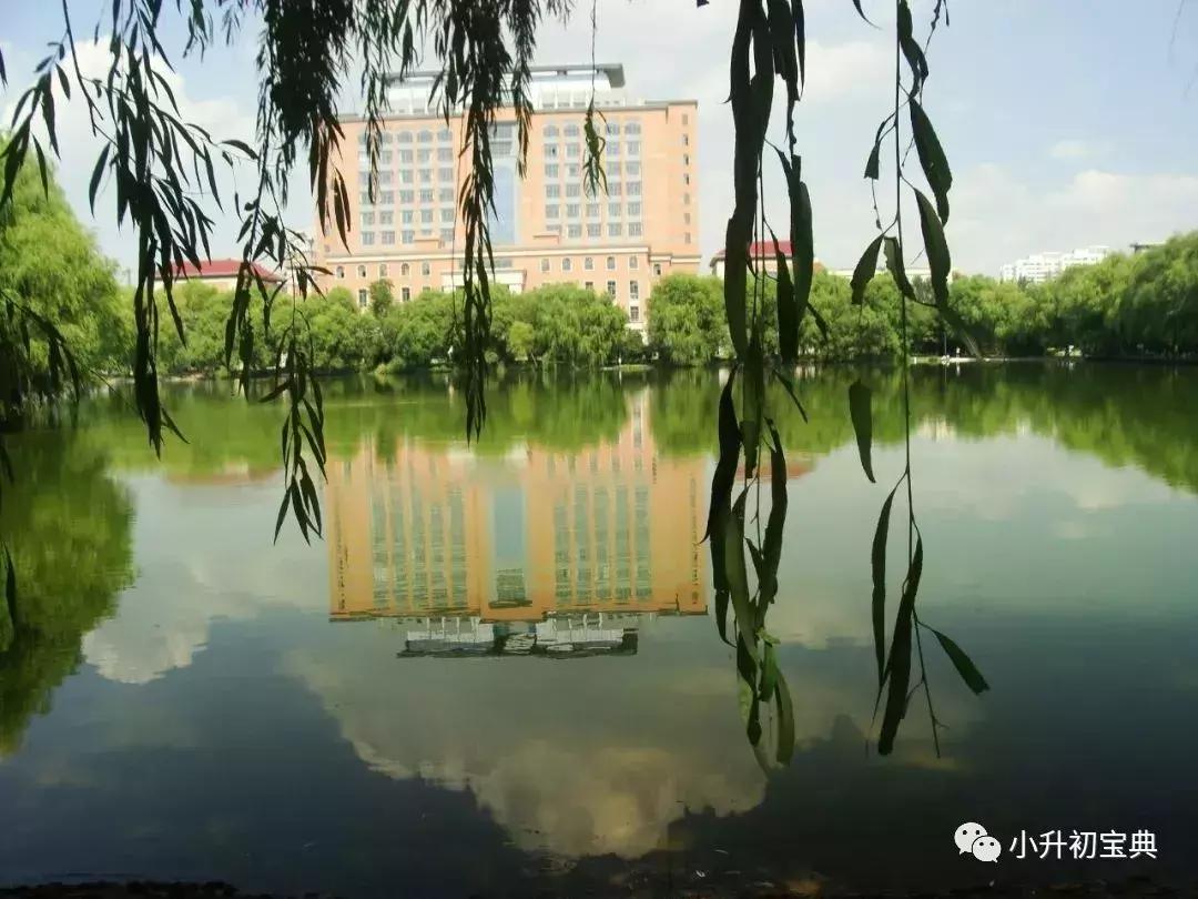 上海16区初中梯队分析,上海16区重点初中排名