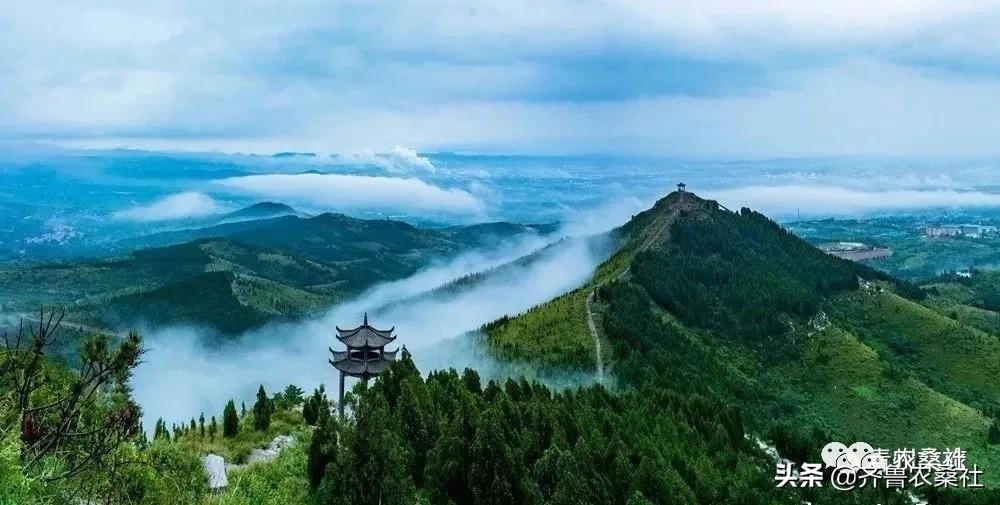 青州民宿桐峪里价格,青州桐峪里民宿有树屋吗