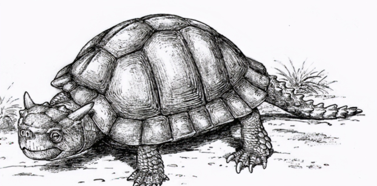 神兽玄武被吃光,人类300年