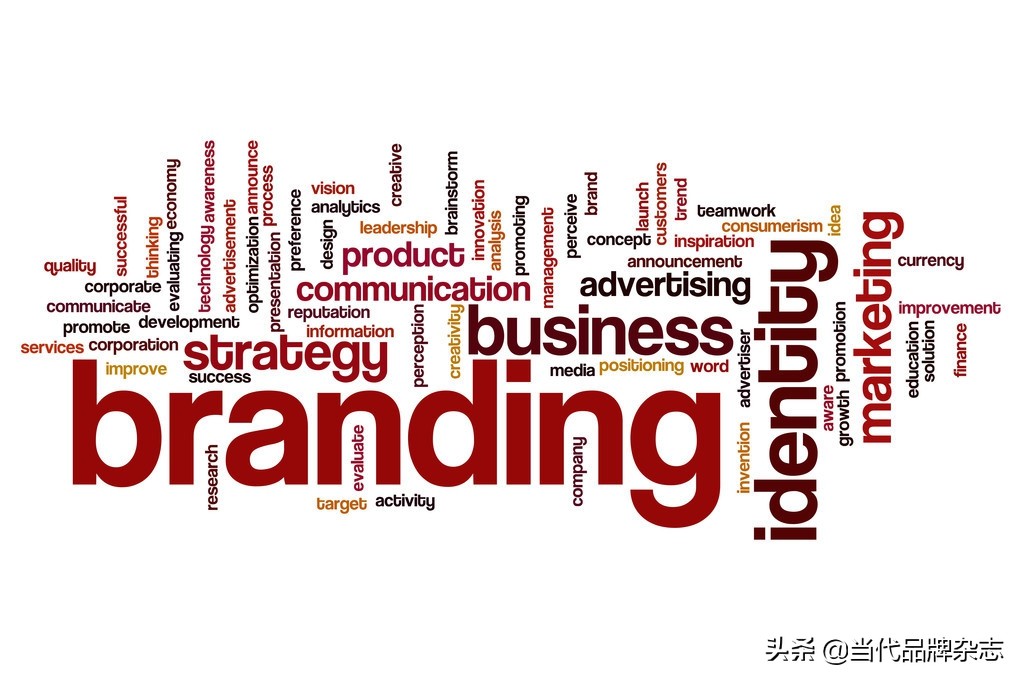 创新创造赋能“闽字号”闯世界