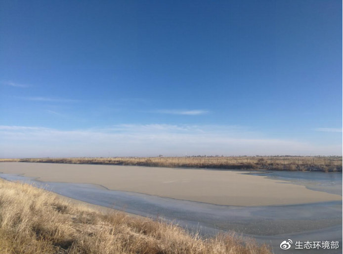 吉林白城自然灾害,吉林破坏生态环境案件