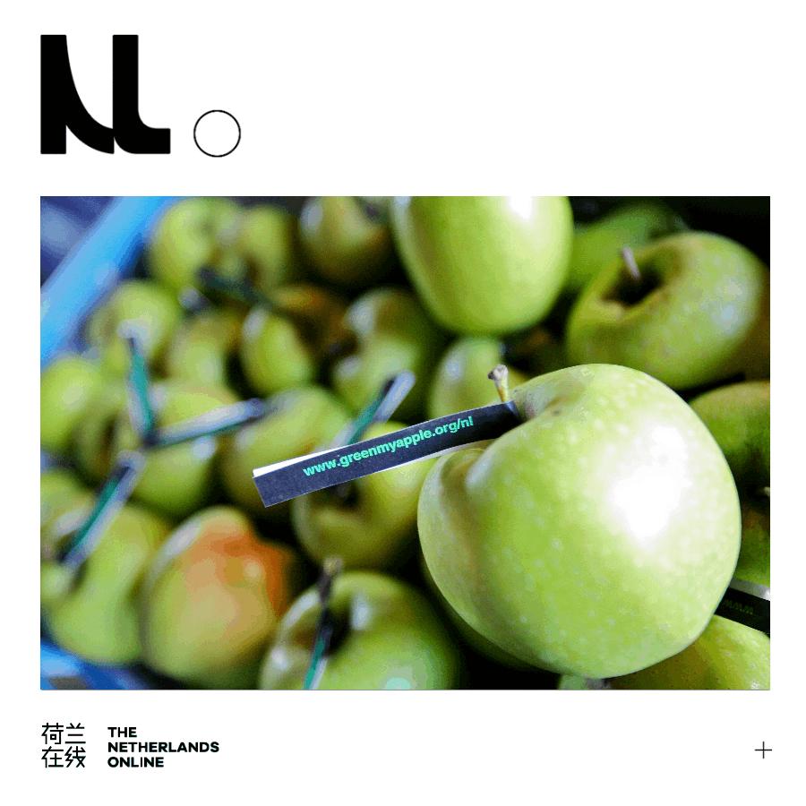 上海花博会讲解,上海花博会有什么