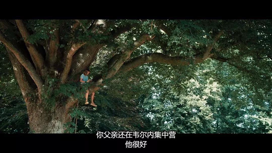 一群犹太小孩逃亡,一群犹太小孩从德国跑到瑞士