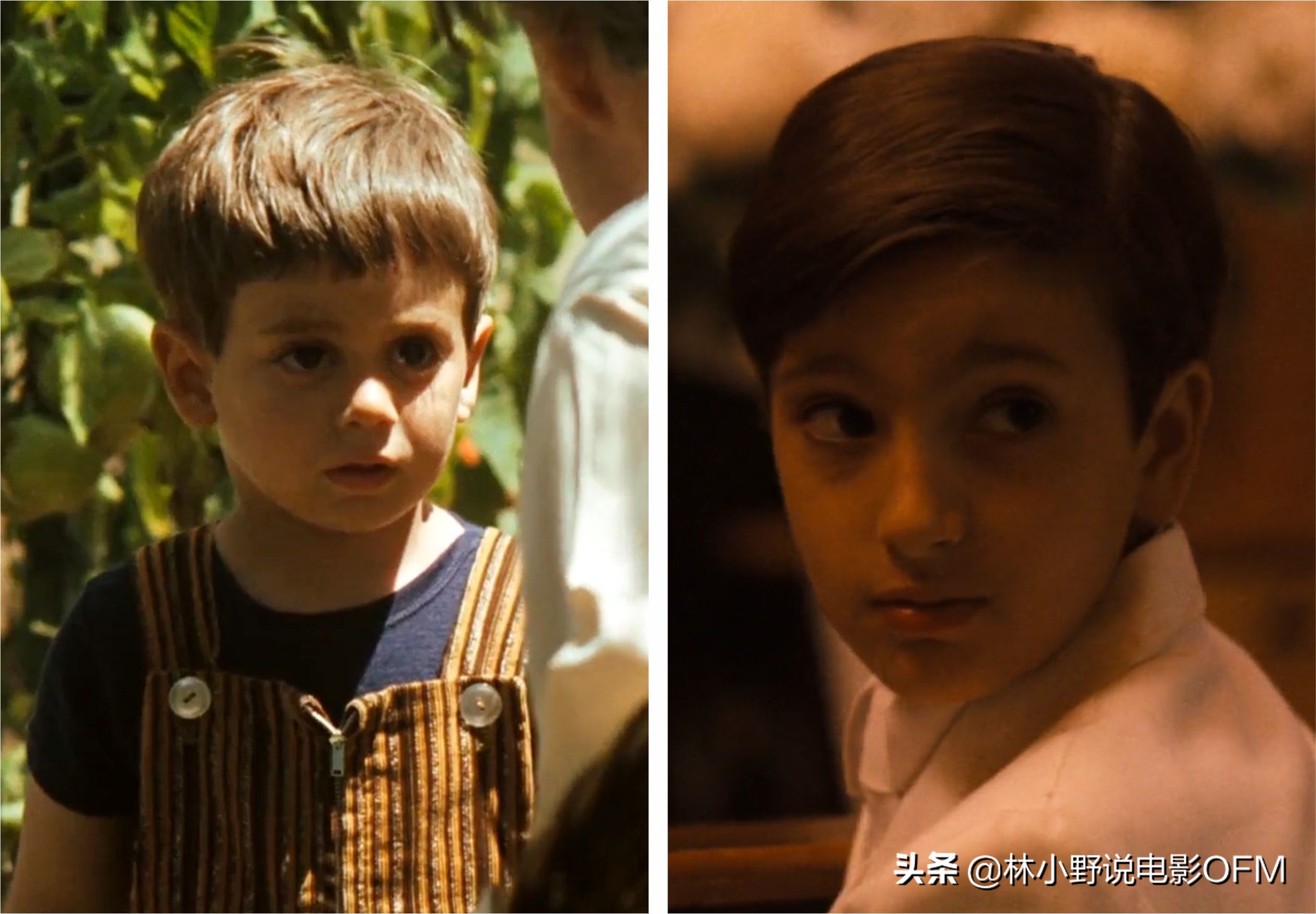 床上的马头是真的假的？桑尼挨了多少枪？好莱坞经典「教父」解密