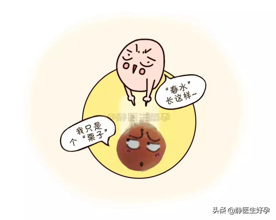 精子和卵子相遇有什么表现吗,精子多久与卵子相遇最好