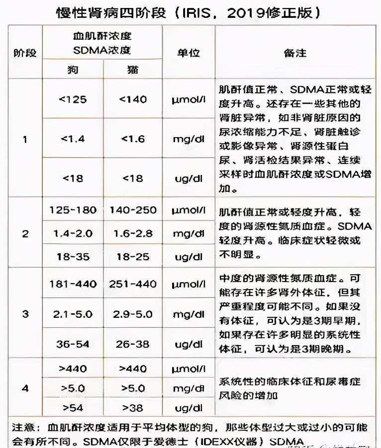 狗狗肌酐偏高属于肾病吗,狗狗尿蛋白和肌酐比过高