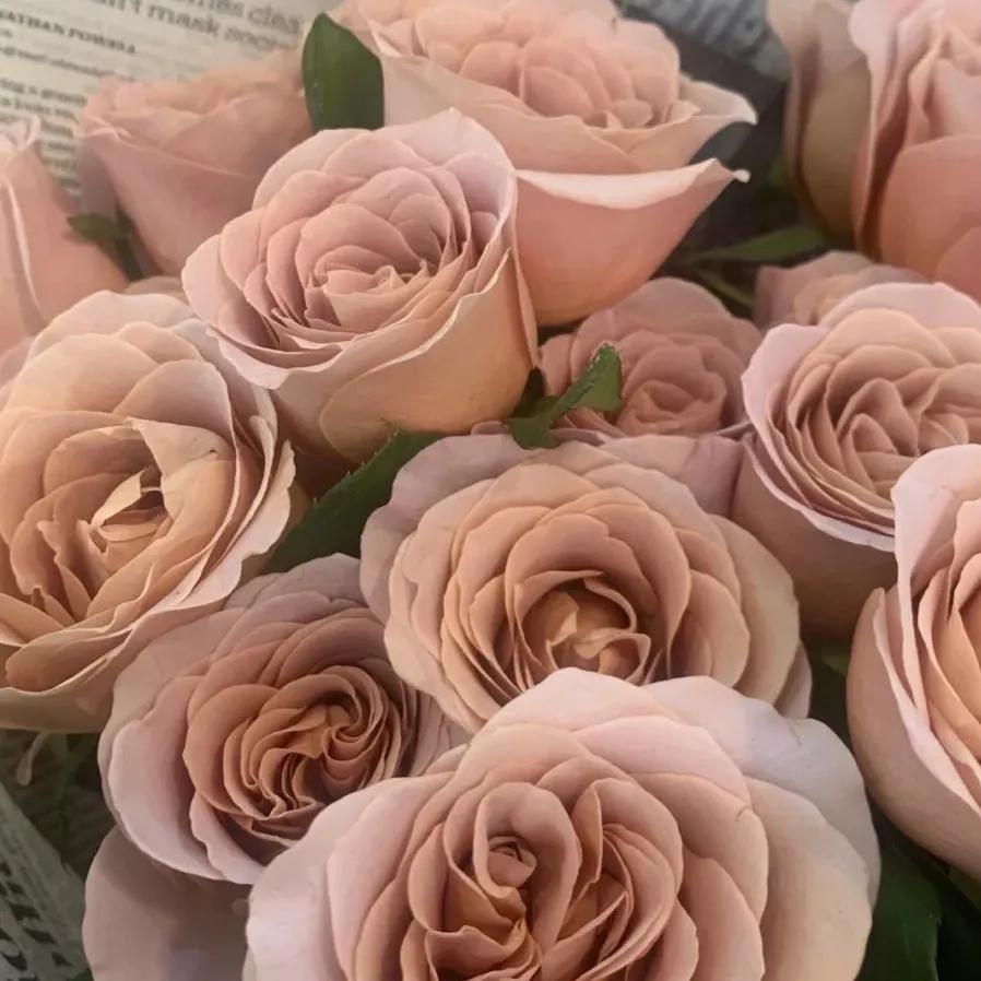 资讯信息类应用场景包括,商务资讯有哪些