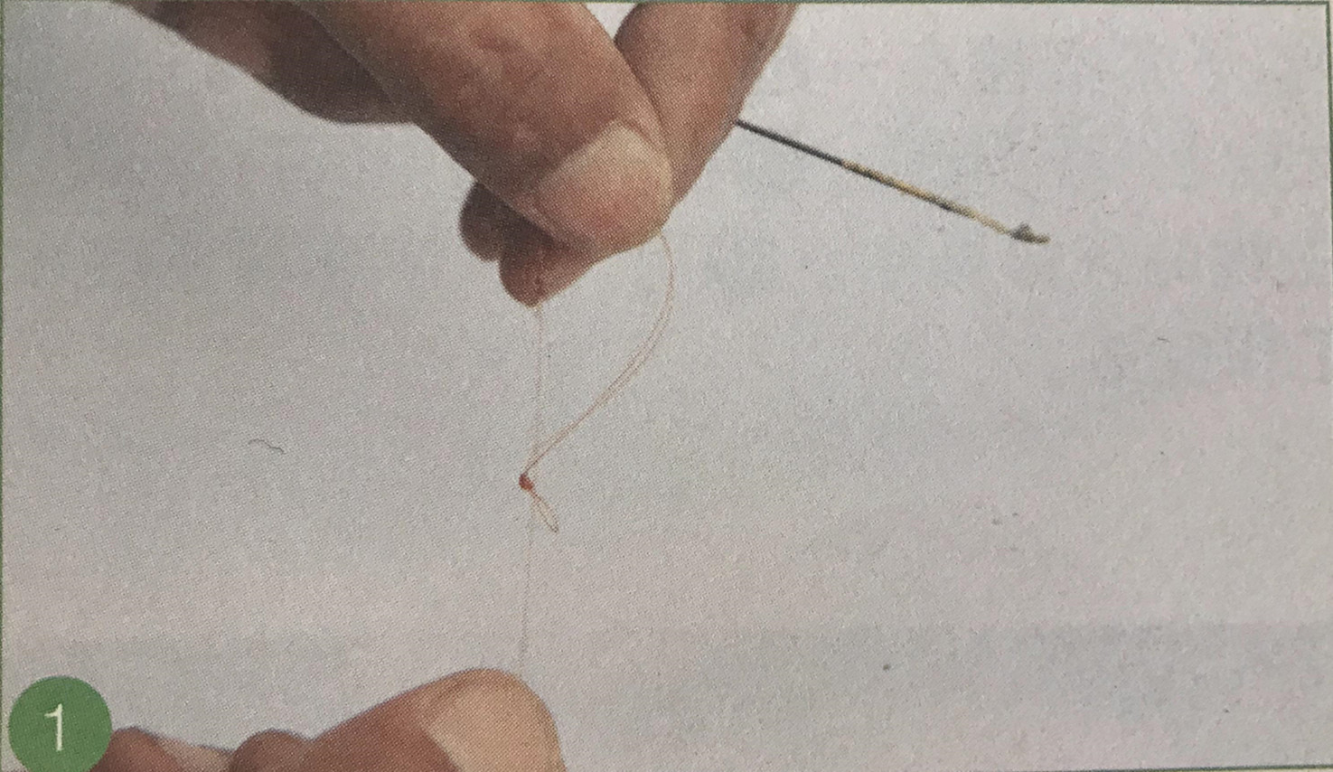 新手钓鱼鱼线和鱼竿怎么绑,初学鱼线全套绑法教程