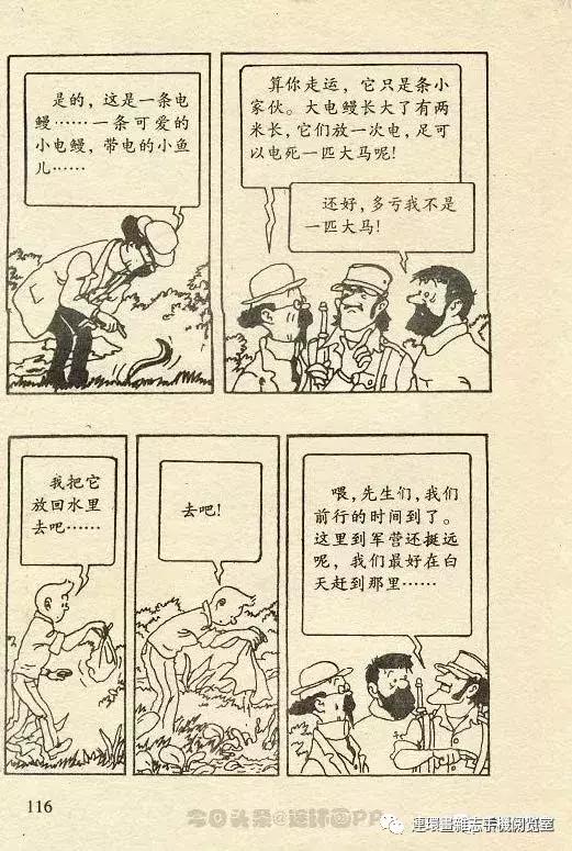 丁丁历险记之丁丁在刚果,丁丁历险记丁丁被石头绊倒