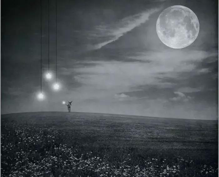 你的卓尔不群，我从未遗忘