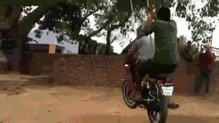 搞笑鸡下蛋恶搞图片,鸡图搞笑图片