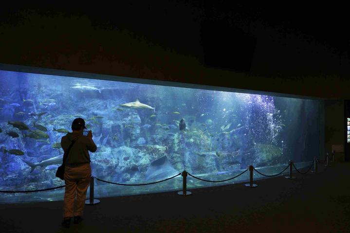 日本九州特急火车,日本九州观光火车攻略