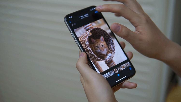 正视生活计划与健康，与Apple三设备的相伴体验报告