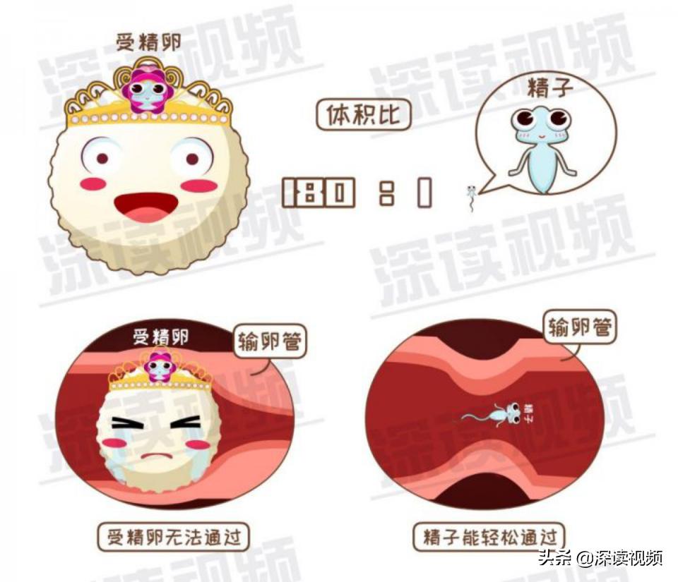 宫外孕出血量和月经一样怎么回事,宫外孕是怎么回事能不能再生孩子