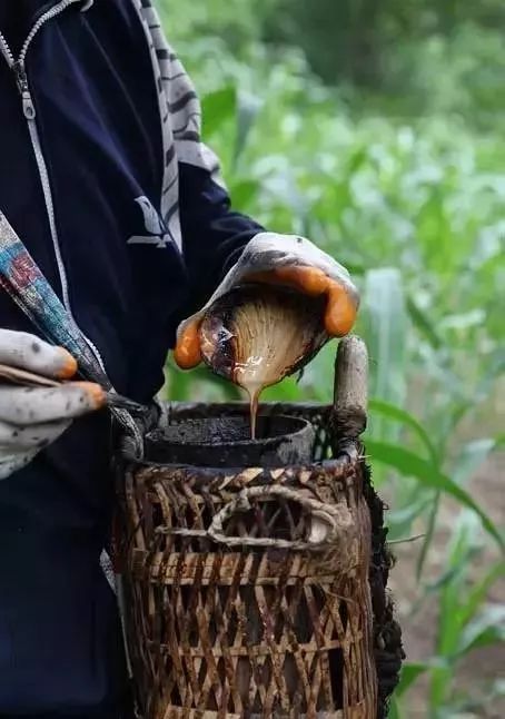 买家具到处是坑,买家具的人一般还会买什么