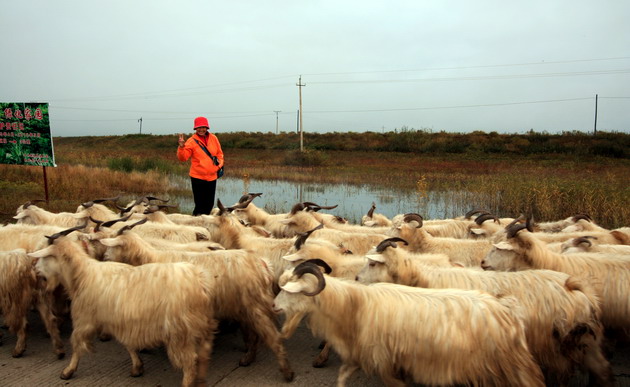 在那遥远的东方歌曲,抚远东方第一哨旅游攻略