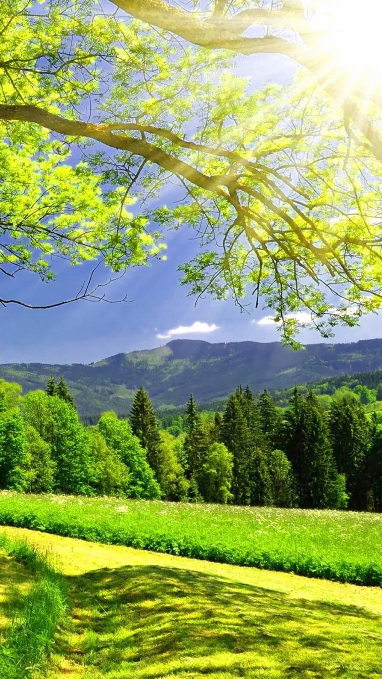 毁三观的女孩到底有多恶心,让人觉得恶心的女生