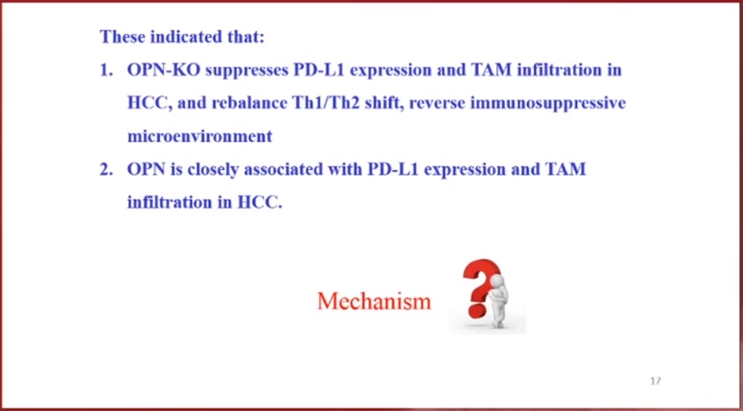 鑲濈粏鑳炵檶鐨勫厤鐤不鐤楁柊杩涘睍,鑲濈粏鑳炵檶娌荤枟鐨勭爺绌舵柊杩涘睍