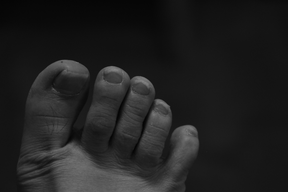 摄影小白买相机推荐,摄影小白看过来