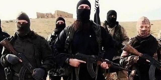 is是美国培养的吗,is是哪个国家扶持的