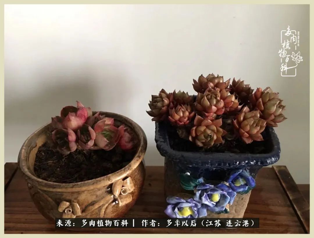 多去花前谈以后，少来月下忆当年