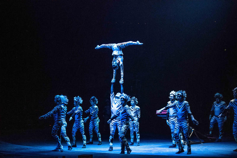 广州长隆野生动物世界的游玩攻略,广州长隆野生动物世界一日游回顾