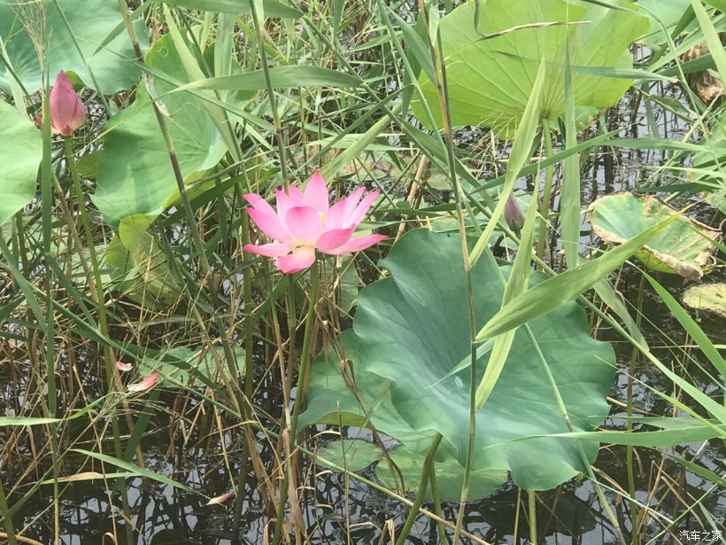 长安逸动一日游记,逸动xt旅游