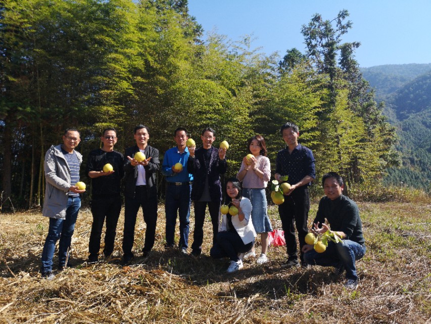 【建州风情】闽源人梨山麓的木樨,犀白鱼采风行！
