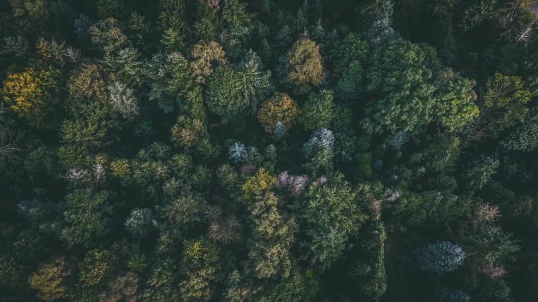 实用且堪称神器的chrome插件推荐,chrome十大必备插件