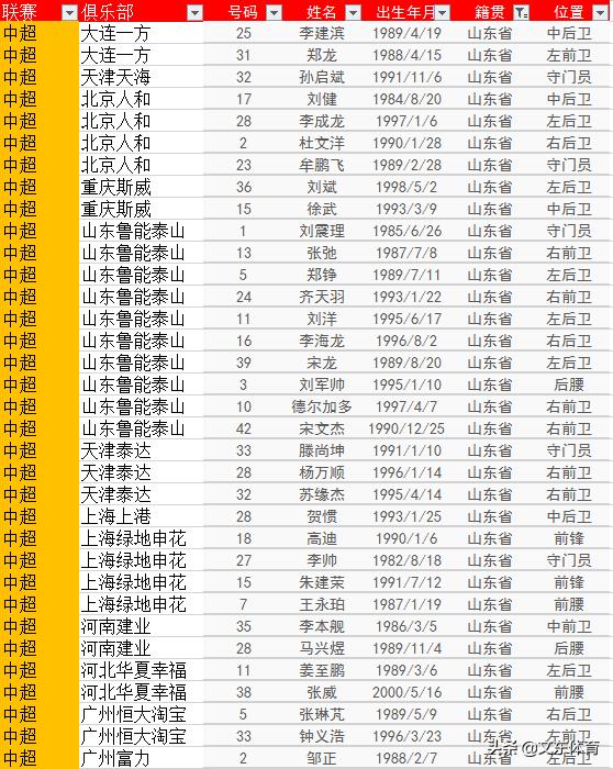 2020中国足球队员40强名单,山东中国足球队球员名单