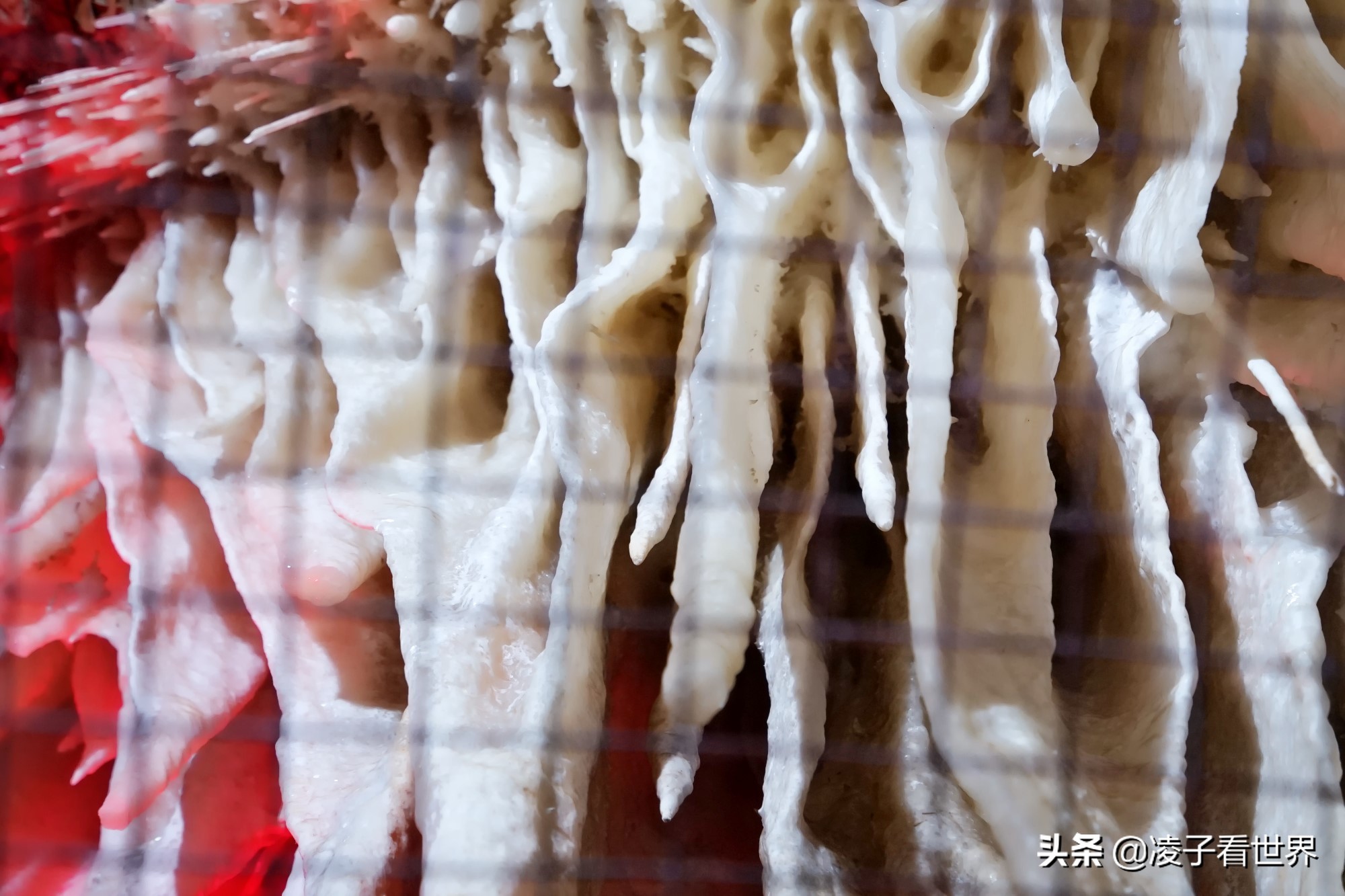 逃离北京40度高温,房山享受22度清凉,看银狐,逛古街吃铁锅炖