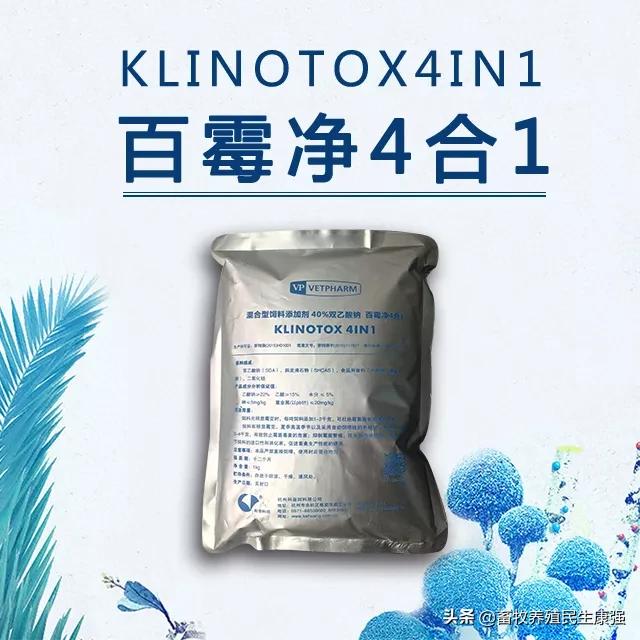 关于牛羊养殖出现问题,牛羊生产与疾病防治