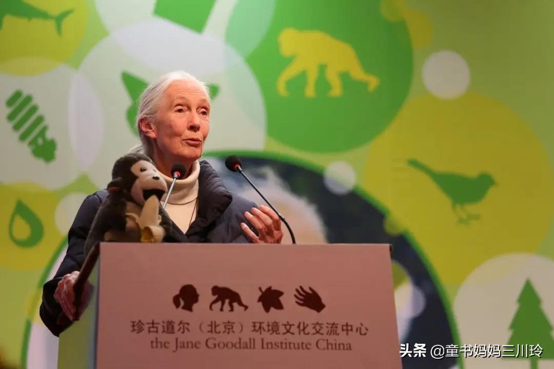 如何圆梦、创造奇迹？看了这6部高分人物传记纪录片，娃有了答案